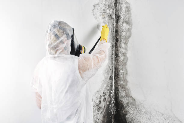 Best 24/7 water damage repair  in USA